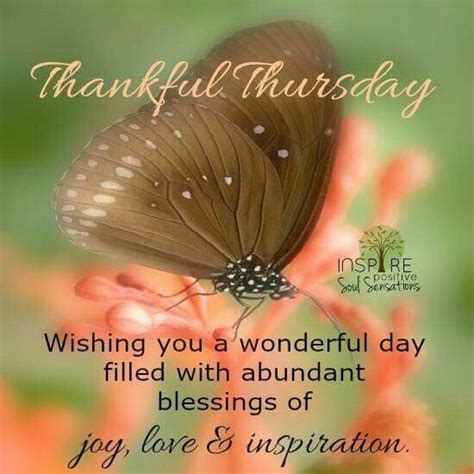Thankful Thursday | Thankful thursday, Good morning quotes ...