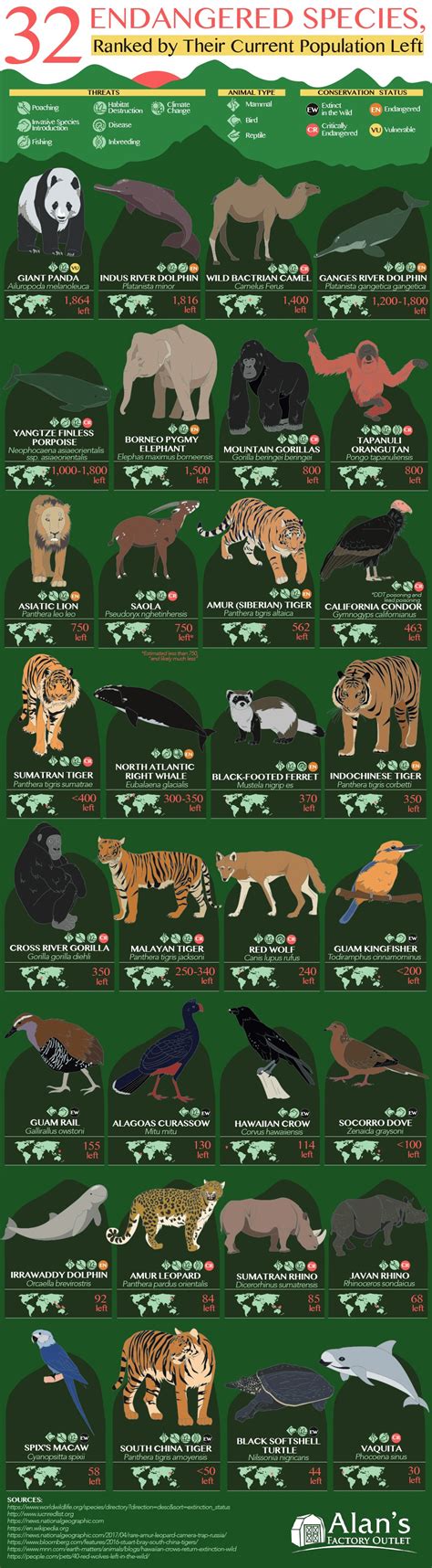 Infographic On 32 Endangered Species Ranked By Their Current Population
