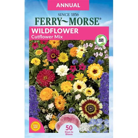 Ferry Morse Wildflower Cut Flower Mixture Seed 2183 The Home Depot