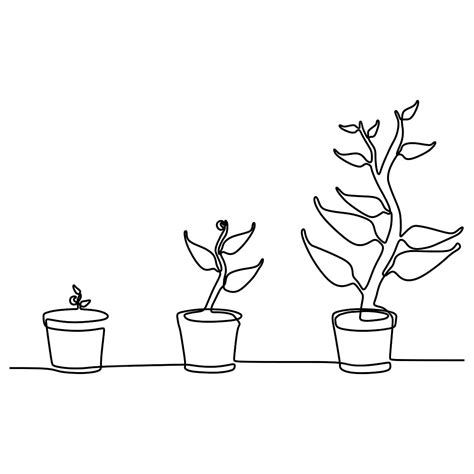 Phase Of Plant Growing Continuous One Line Drawing Minimalist Vector