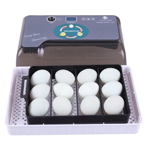 12 egg incubator fully automatic digital poultry hatching machine temperature control