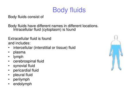 Ppt Regulation Of Body Fluids Powerpoint Presentation Free Download