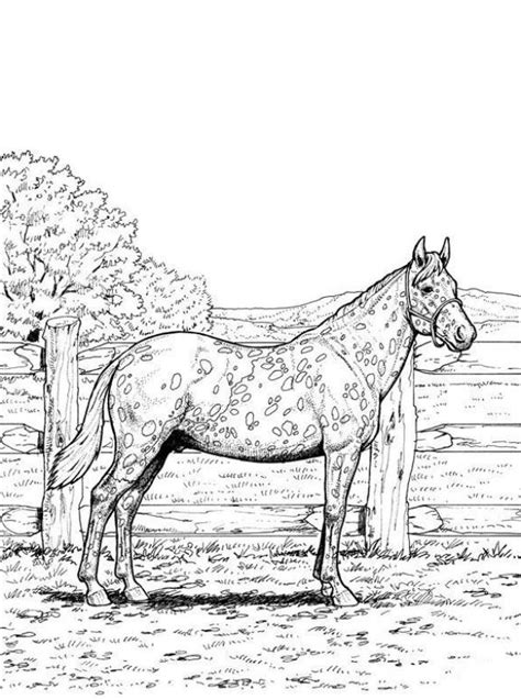 Download nu gratis een kleurplaat van een paard, print ze uit en kleuren maar! Buntute rodo oren sitik: Kleurplaat Paard Mandala