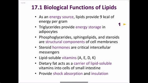 What Is The Function Of Lipids In Animals