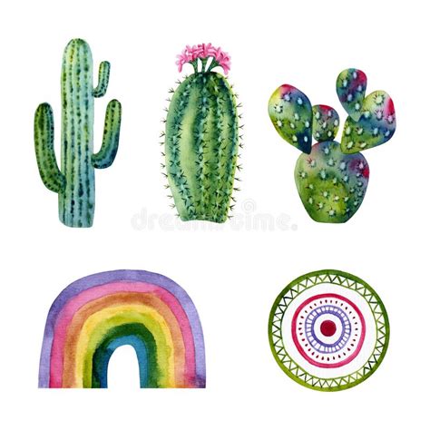 Set Of Watercolor Cactus Colorful Illustration Isolated On White Stock