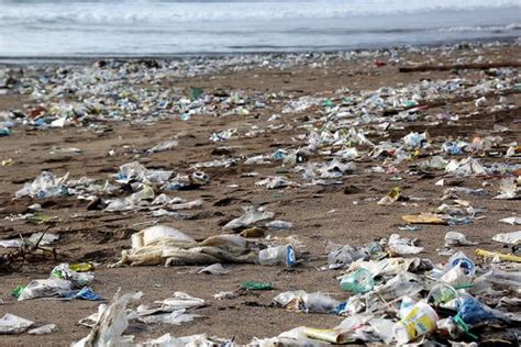 Stopping The Plastic Highways From Choking The Ocean Madras Courier
