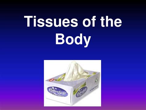 Ppt Tissues Of The Body Powerpoint Presentation Free Download Id88979