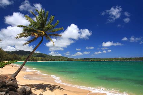 Driving Tour of Kauai's North Shore