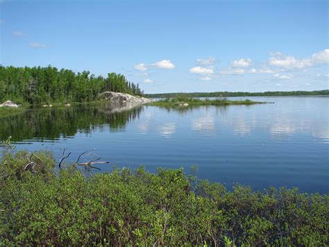 Conservation Value Of The North American Boreal Forest