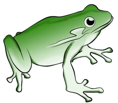 Jumping Frog Clip Art Clipart Panda Free Clipart Images