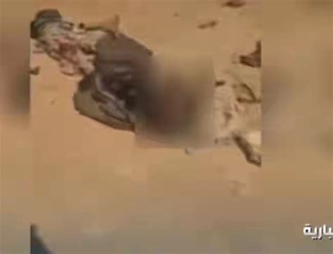 شاهد جثث الحوثيين ملقاه على الأرض بعد مصرعها وكيف تحولت صحراء مأرب