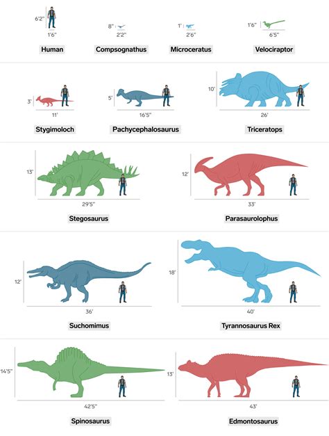 Jurassic World 2 Dinosaurs Compared To Humans Business Insider