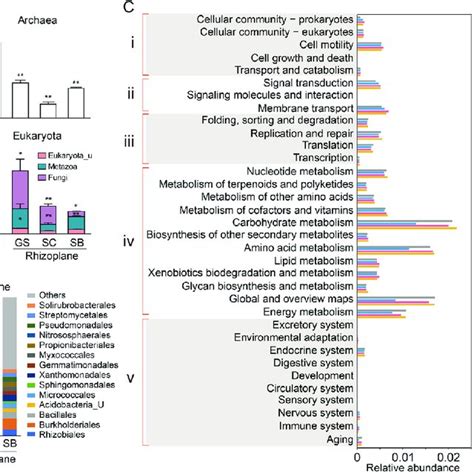Taxonomic And Functional Gene Profiles Revealed By Metagenomics A