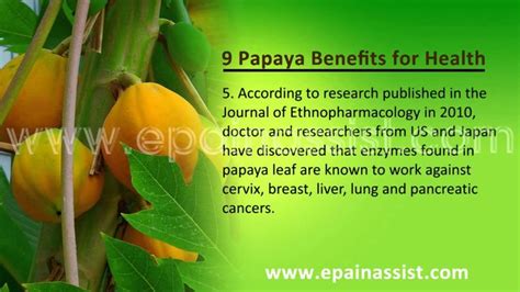 9 Health Benefits Of Papaya Papaya Benefits Health Health Benefits