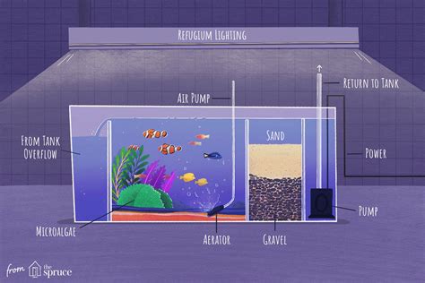 Instructions For A Diy Saltwater Aquarium Refugium