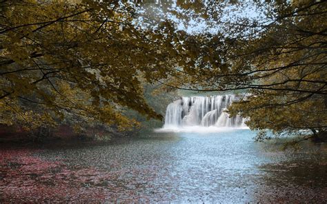 Waterfall And Falling Leafs On Water Waterfall Beautiful Landscapes Water