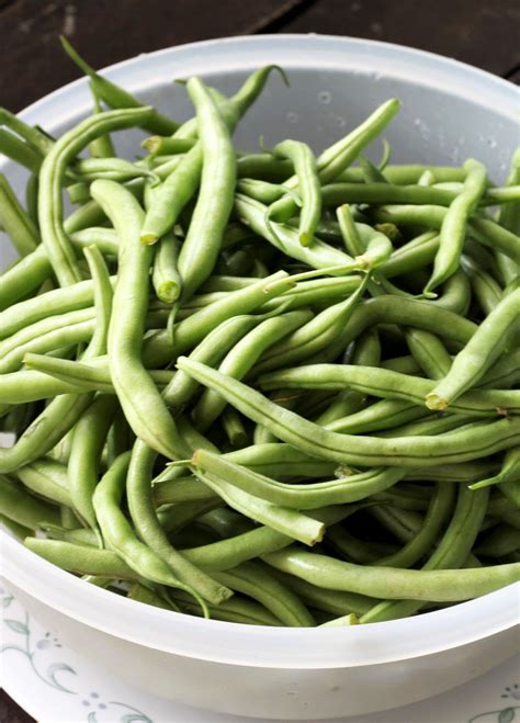 It is very frugal and rather simple to put together. Canning Green Beans - My Recipe Treasures