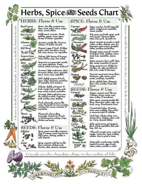Herbs And Their Uses Pdf