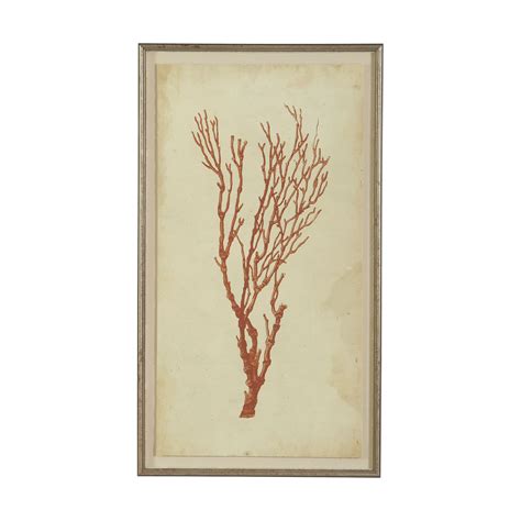 Antique Coral Specimen A | Nature | Framed art prints, Framed canvas prints, Framed artwork