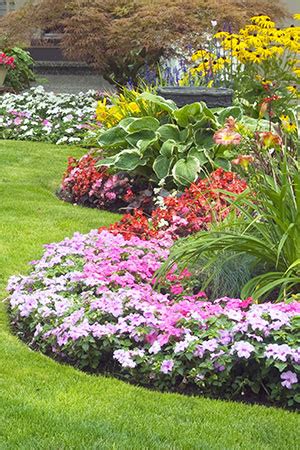 All seasons lawn care llc. Annual & Perennial Installation | All Seasons Lawn Care