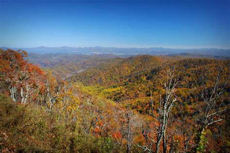 Oj Photography Blue Ridge Parkway Fall Colors Mt Pisgah Nc
