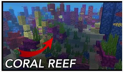 what biome are coral reefs in minecraft