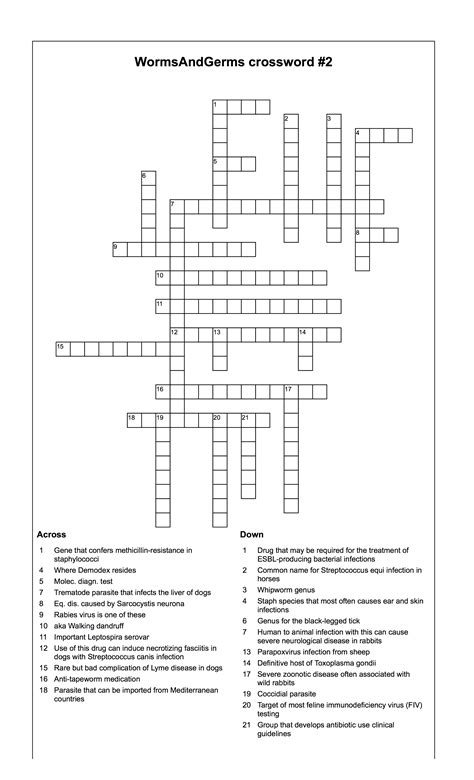 Physical Education 15 Crossword Answer Key