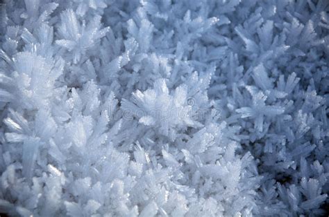 Frost And Snow Ice Crystals Stock Photo Image Of Temperature 12341454