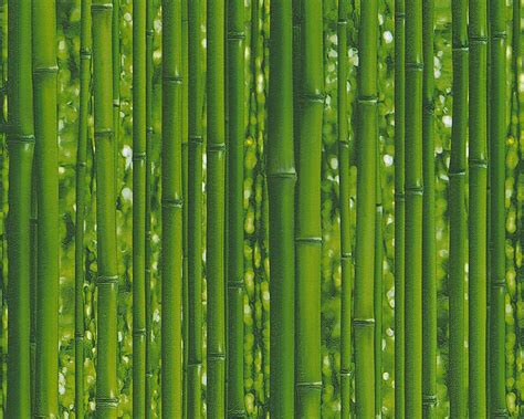 Animated gif about tumblr in aesthetic gifs. Vinyltapete Bambus Pflanze Natur grün 95936-1
