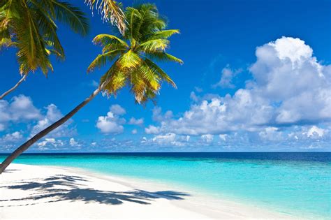Caribbean Happy Vacations
