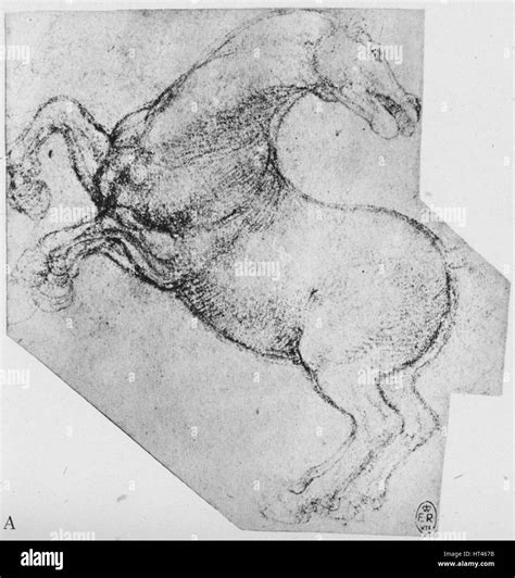 Study Of A Rearing Horse C1480 1945 Artist Leonardo Da Vinci