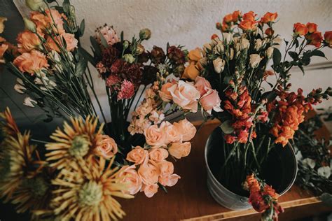 Pink Yellow Red And Orange Flowers · Free Stock Photo