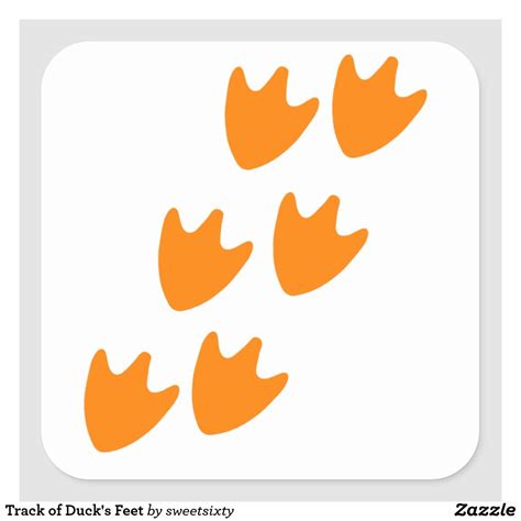 Track Of Ducks Feet Square Sticker Zazzle Duck Feet Duck Drawing