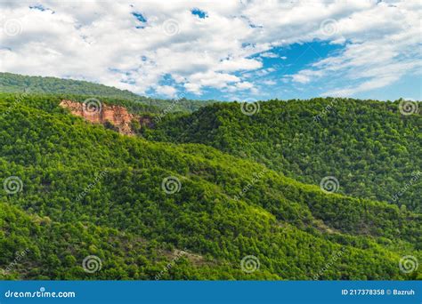 Mountain Slope Overgrown With Dense Green Forest Stock Photo Image Of