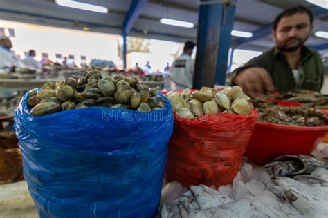 Dubai Fish Market Editorial Photo Image Of Emirates 177091166