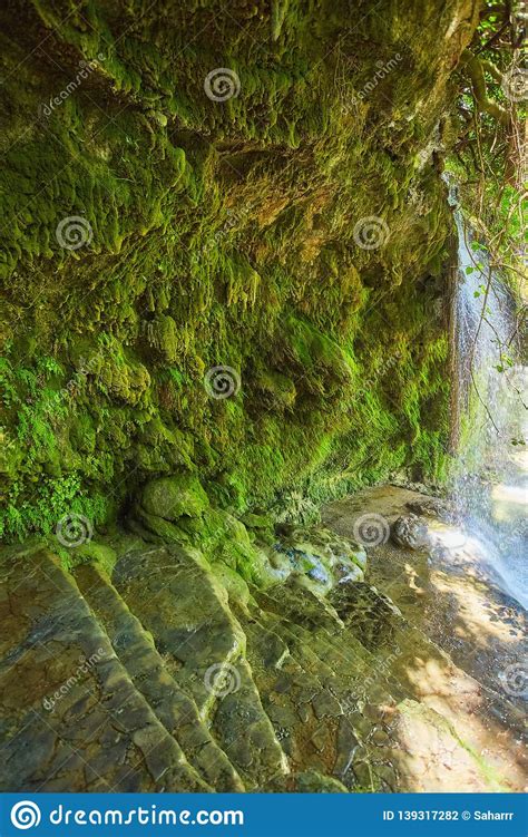 Jungle Beautiful Waterfall Mountain River Stream