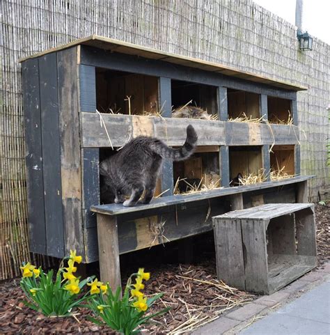 Pin By On Pet Stuff Feral Cat House Outdoor Cat Shelter Outdoor
