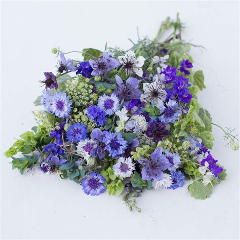 Welcome Spring With These Hardy Annual Flowers Floret Flowers