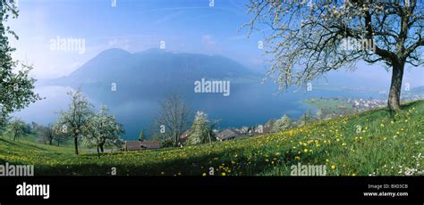 Aegerisee Lake Sea Trees Spring Oberageri Panorama Switzerland Europe