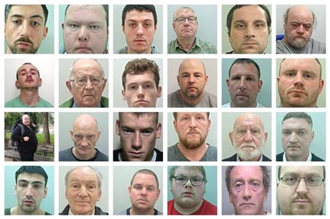 The Perverts Paedophiles And Sex Offenders Everyone In