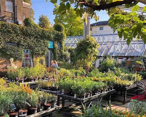 Garden Centres In London 19 Garden Centres For Green Fingered Folks