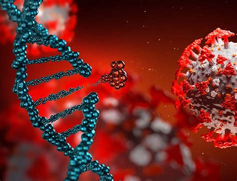 Rna Crispr Gene Editing Boosts Gene Knockdown In Human Cells
