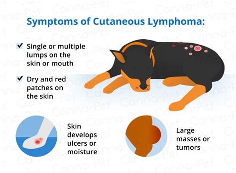 Cancer is defined as uncontrolled growth of abnormal cells lymphoma (cancer of the lymph nodes). Lymphoma in Dogs | Canna-Pet