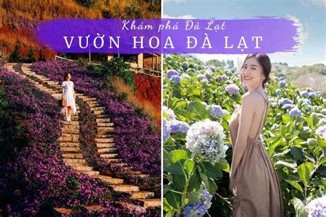 Top 10 Vườn Hoa Đà Lạt Những Cánh đồng Hoa đẹp ở Đà Lạt