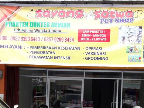 Ada perusahaan yang sedang membuka kesempatan lowongan kerja lowongan kerja gaji besar, staf teknisi, staf senior marketing, business development manager dan banyak lagi melalui indeed.com. Lowongan Kerja Sayang Satwa Pekanbaru Januari 2021