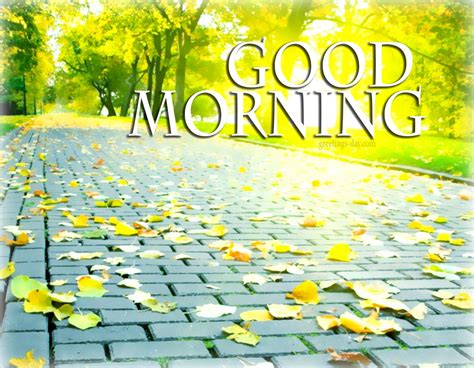 Make the day special for your loved ones and send them some good morning ecards, images messages with the good morning greeting cards on facebook, tumblr. Good Morning - Best Ecards, GIFs & Wishes.