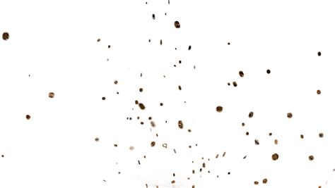 Dirt Pictures Png Dirt Pictures Transparent Background Freeiconspng