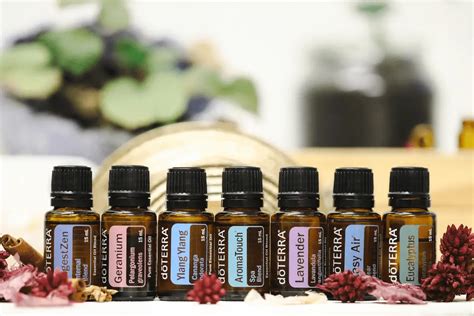 How To Pack Essential Oils For Moving Ways Moving Expertise