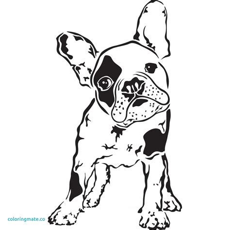 Boston Terrier Pages Coloring Pages