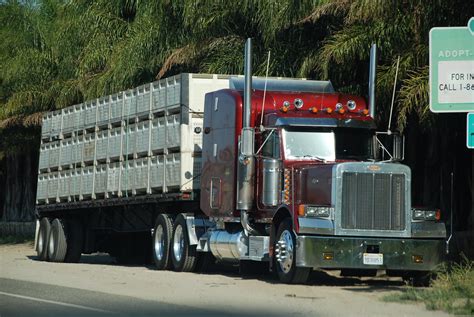 PETERBILT BIG RIG TRUCK 18 WHEELER A Photo On Flickriver